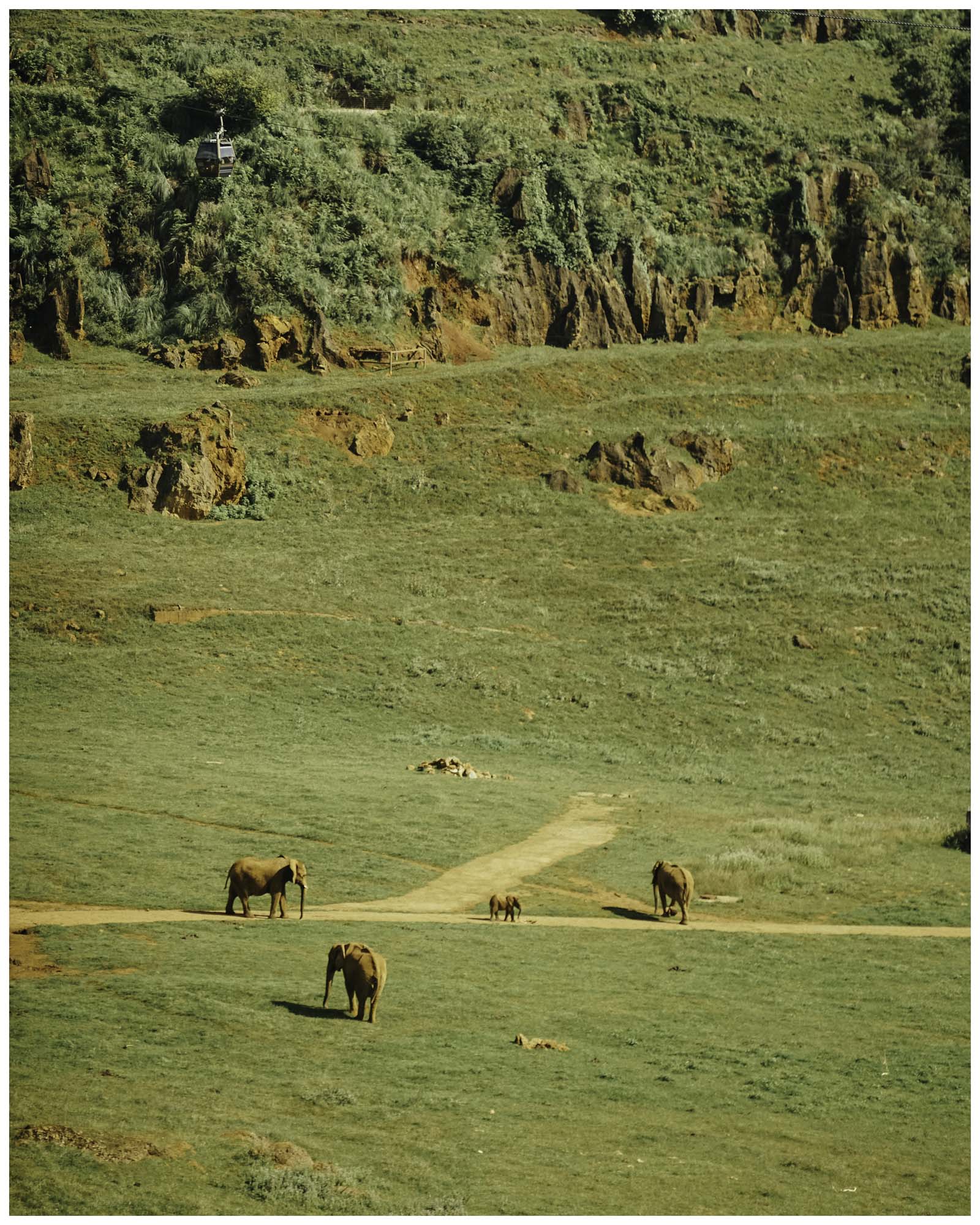 blog/1_Cabarceno/tina_mimika_photographer_landscape_photography_medium_format_sonyalpha_pentax67_spaintravel_cabarceno_cantabria_wkilol