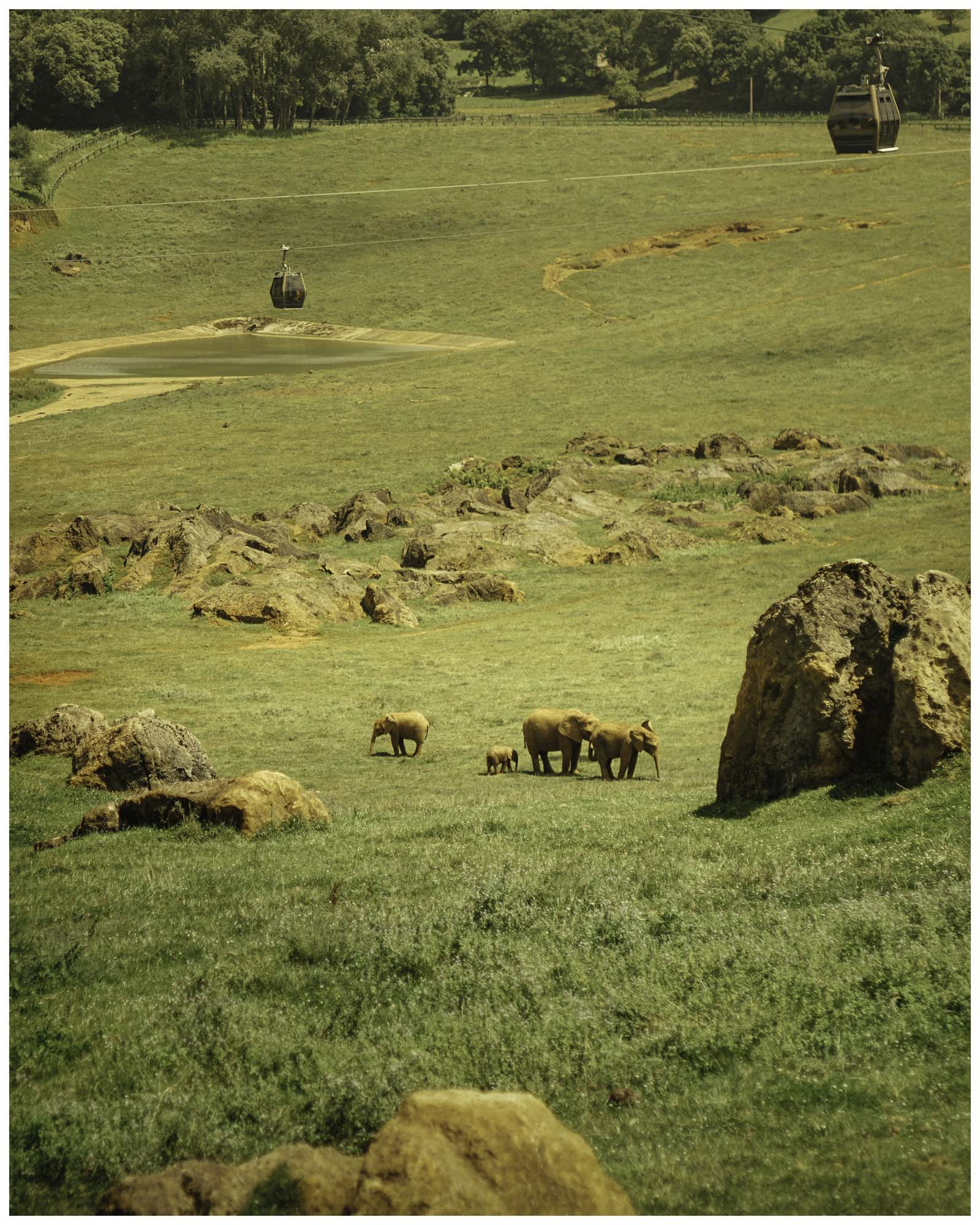 blog/1_Cabarceno/tina_mimika_photographer_landscape_photography_medium_format_sonyalpha_pentax67_spaintravel_cabarceno_cantabria-18_owqenu