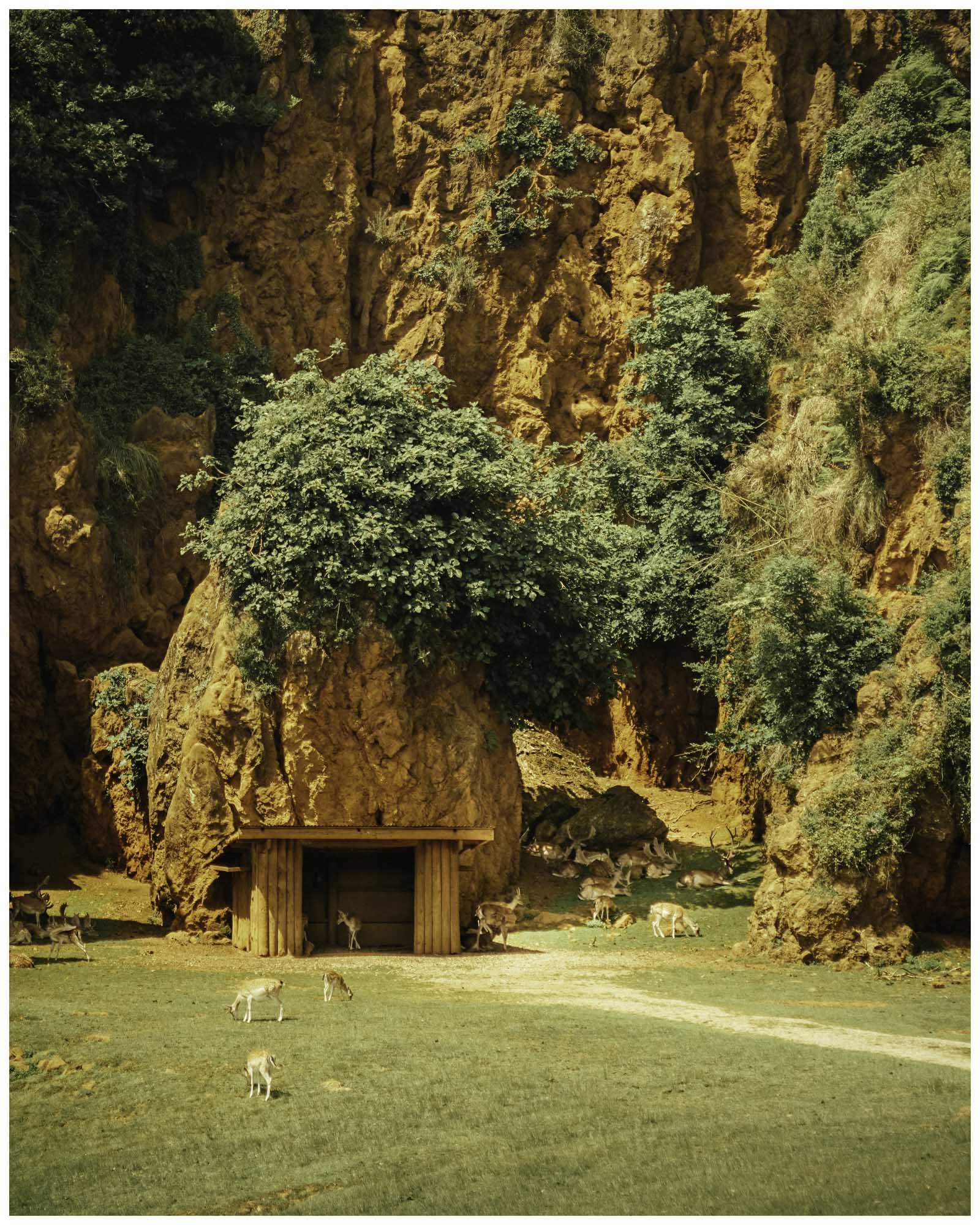 blog/1_Cabarceno/tina_mimika_photographer_landscape_photography_medium_format_sonyalpha_pentax67_spaintravel_cabarceno_cantabria-4_piqjh5